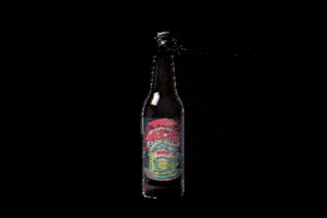 Nao Beer GIF
