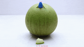 Bugs Grapefruit GIF by Cookingfunny