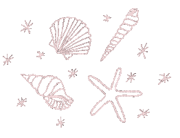 Beach Stars Sticker