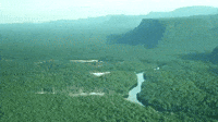 Deforestation Gifs Get The Best Gif On Giphy