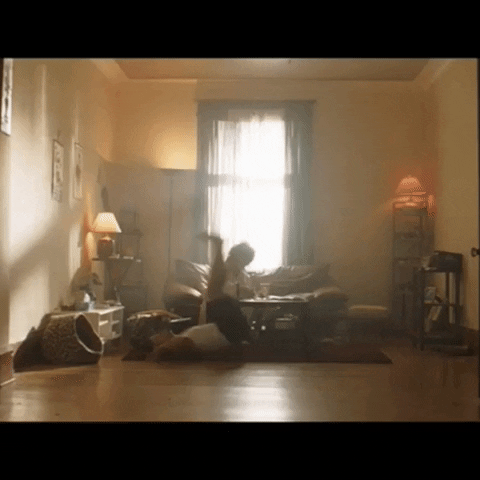 GIF by La loi c'est la loi