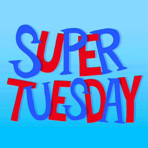 Voting Super Tuesday GIF by megan lockhart