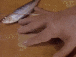 Troma GIF