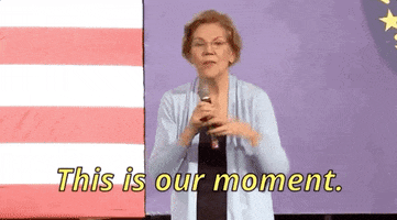 Elizabeth Warren This Is Our Moment GIF by Election 2020