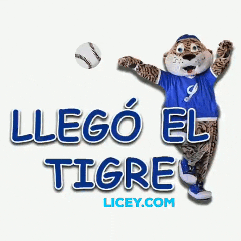 Licey GIF by tigresdellicey