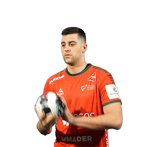 Letsgovamos Sticker by Federação de Andebol de Portugal