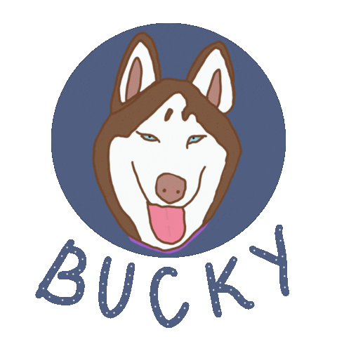 Dog Bucky Sticker