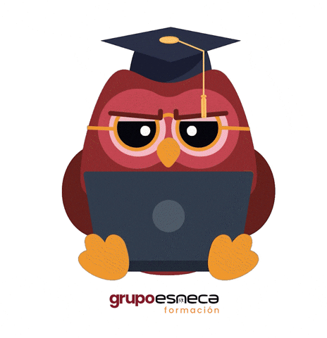 Owl Estudiar GIF by Grupo Esneca Formación