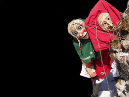 Fasnet GIF by Narrenzunft Aitrach