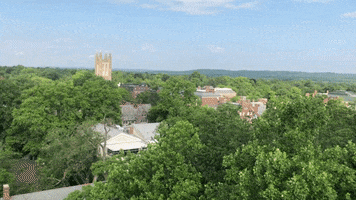 Princeton nature college university campus GIF
