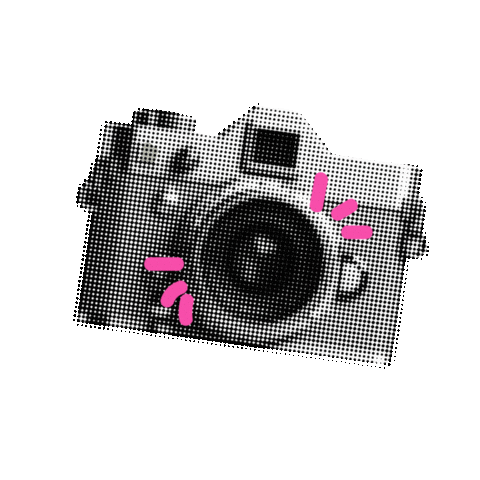 Harrison Cameras Sticker