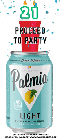 Party Celebrate GIF by Palmia Beer