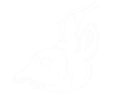 Cartoon Sticker