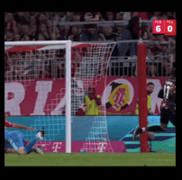 Fc Bayern Kompany GIF