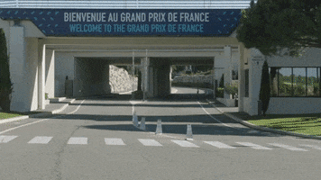 redbullracing france 2019 f1 french GIF