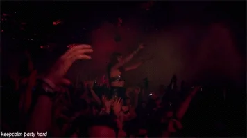 party love GIF
