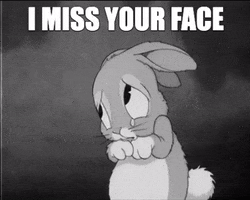 Cartoon gif. A black-and-white scene of a retro cartoon rabbit in a timid, constricted pose, looking up to left of frame. A tear falls from one eye and rolls down its cheek. Text, "I miss your face."
