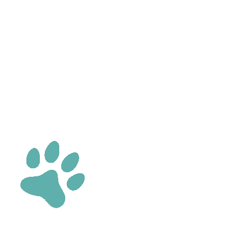 Lifetime Paws Sticker by KUNKAY
