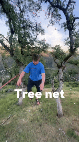 Tree Net GIF