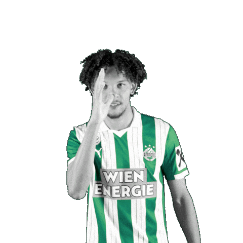 Fk Austria Celebration Sticker by SK Rapid