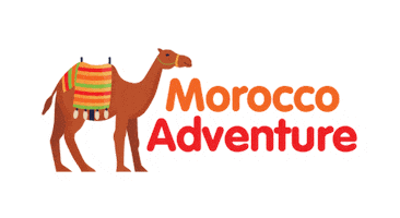 Travel Adventure Sticker by Gap 360