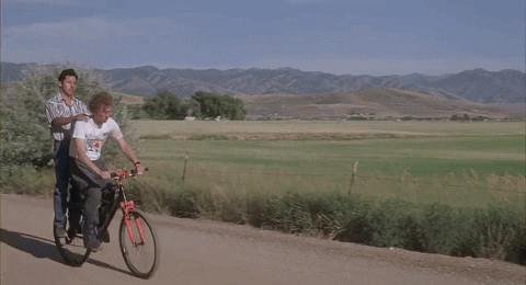 bike pegs