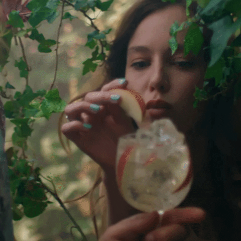 Party Cheers GIF by Absolut Vodka