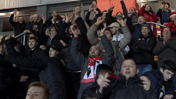 Fans Singing GIF by Salford City FC