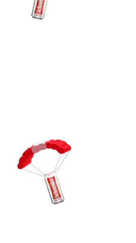 Schneider Argentina Sticker