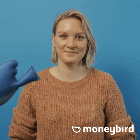 Moneybird moneybird GIF