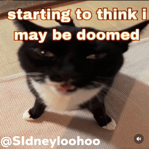 Cat GIF