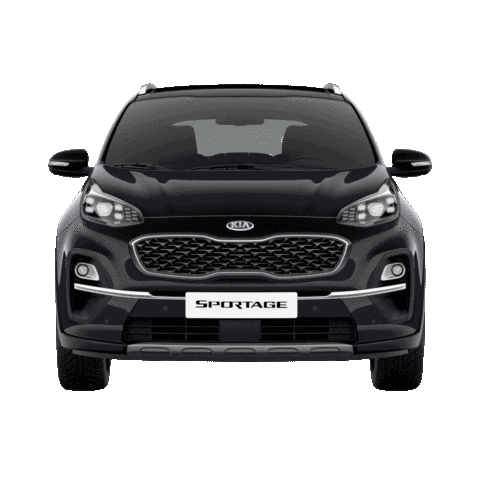 Kia Türkiye Sticker