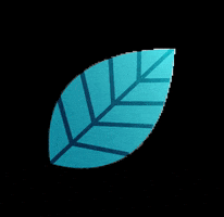 Trento Film Festival GIF
