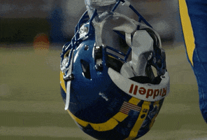 Football Helmet GIF by Delaware Blue Hens