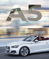 200.gif?cid=fc005b08e6575dbf76ec4946270c7241c701d9c02d6a6f56&rid=200.gif&ct=g