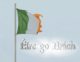 St Patrick Flag GIF by USA Kilts