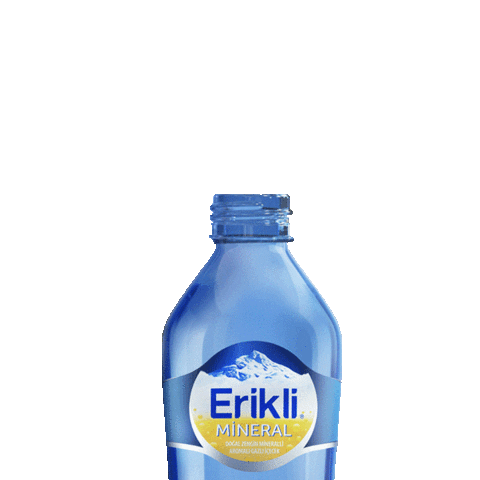 Nestle Waters Sticker