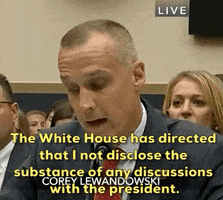 Corey Lewandowski Impeachment GIF by GIPHY News