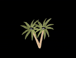 Palm Tree Wink GIF by Kendra Dandy