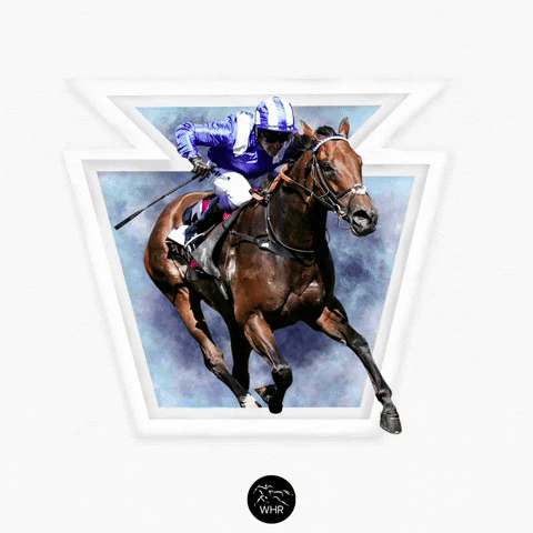 Speed Sprint GIF by World Horse Racing