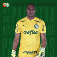 Pointing Puma GIF by SE Palmeiras