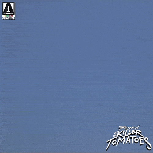 Killerbunny GIFs Get the best GIF on GIPHY