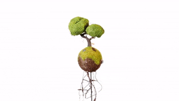 Robot Tree GIF by terryibele
