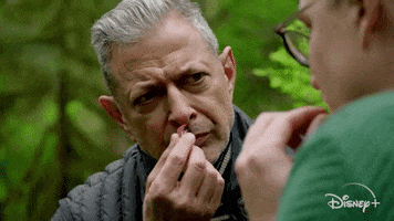 200.gif?cid=fc005b08a5753373f933e945de5a3b1aa92cacd2b1655ec0&rid=200.gif&ct=g