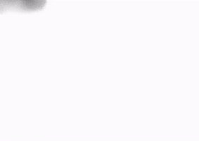 Driving Ford GIF by Tienqa