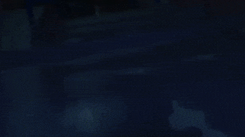 3Xs GIF
