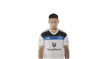 Soccer Hamburg Sticker by HSV
