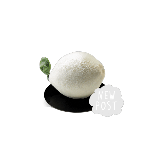 Iveta Fabesova Sticker