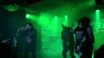 Concert GIF by KNOTFEST
