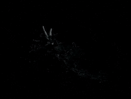 Art Show GIF
